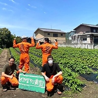 【自社農園・契約農家から直送の有機無農薬野菜を使用】