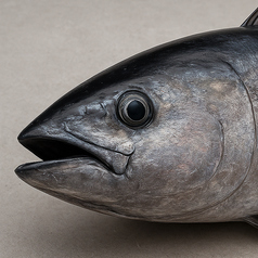 長岡漁港けんじろう 城内第二埠頭の写真2