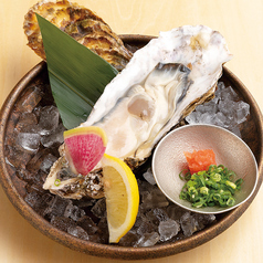 生岩牡蠣