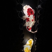 Eggshell artwork