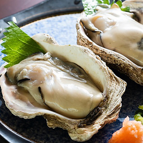 海鮮居酒屋 銀座日向 銀座 居酒屋 ホットペッパーグルメ