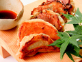 料理メニュー写真&nbsp;桃林の焼きギョーザ（5個）