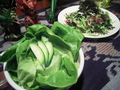料理メニュー写真 巻き野菜セット