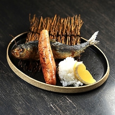 大トロイワシ