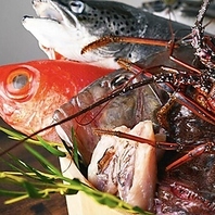 産地直送の新鮮食材を堪能！刺身はもちろん土瓶蒸しも◎
