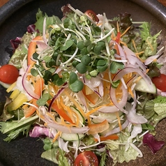 野菜いろいろサラダ