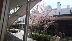 外の景色が見える明るいお席もございます。