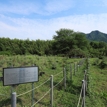 RECLO VILLAGEの雰囲気1