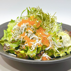 篠島産 釜揚げしらすネギサラダ