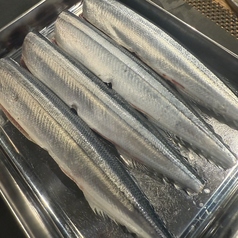 旬の食材