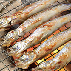 ししゃもの炭火焼き