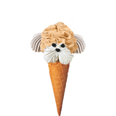 ヨークシャーテリアモカ　Cup