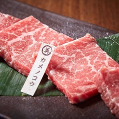 【焼き肉生肉系単品～シンタマ】★カメノコウ