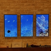 【温もりを感じる木のぬくもり】