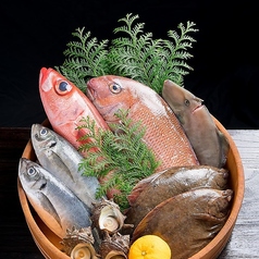 境港直送の鮮魚に舌鼓