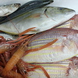 沼津港水揚げの魚介は、毎朝シェフが買い付けに・・・
