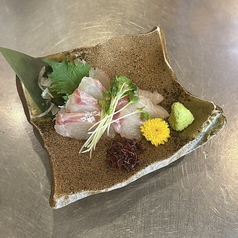 お刺身各種