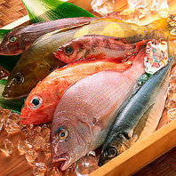 日本近海にて育まれた新鮮な朝〆鮮魚を豊洲市場より直送