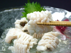 浅草　魚料理　遠州屋の写真1