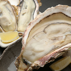 伝 掛川本店のコース写真