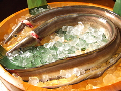 浅草 魚料理 遠州屋のおすすめポイント1