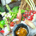料理メニュー写真 彩り野菜の和風バーニャカウダー