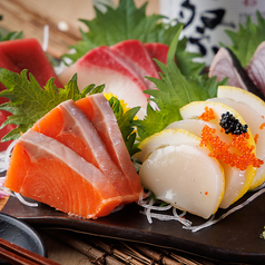 達磨酒場 有楽町1号店特集写真1