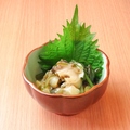 料理メニュー写真&nbsp;つぶ貝わさび