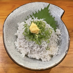 釜揚げしらす丼