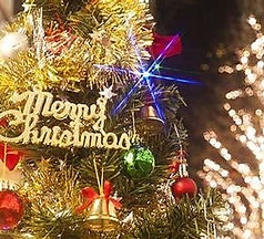 ちょうつがひのコース写真