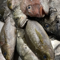 季節ごとの旬のお魚を多数ご用意！