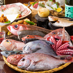 鮮魚のざるみせ