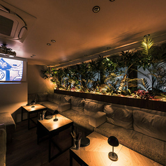 ALBERO（アルベロ）三宮店の特集写真