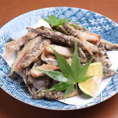 どじょう唐揚げ