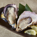 料理メニュー写真 生牡蠣 (1個) 