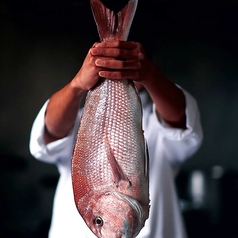 【個室完備】旨い魚と日本酒 海鮮居酒屋 うおいち 新橋本店の写真2