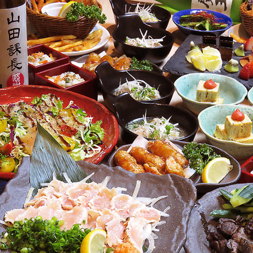 とりえもん 宮崎のおすすめ料理1