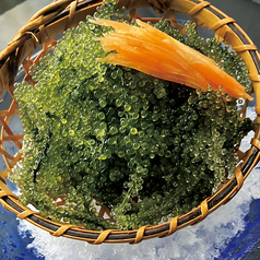 【おすすめ】海ぶどう
