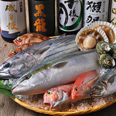 新鮮鮮魚と日本酒♪