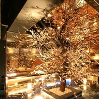 幻想的な非日常空間でおもてなし