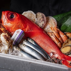 旬の食材と、こだわりの厳選食材を使用