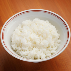 白ごはん