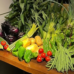 焼鳥 美食屋いし野の特集写真