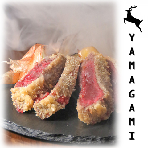 創作ジビエ料理を楽しめるジビエ料理専門店『YAMAGAMI』
