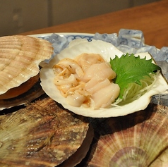 天然帆立の刺身
