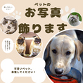 わんちゃん・ねこちゃん好きのお客様多数！自慢のペットのお写真をお持ちいただきましたら、当店の壁に飾らせていただきます！！ぜひご持参のうえ、ご来店ください♪