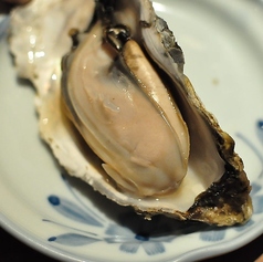 【届きたて】名物 厚岸産のカキ (1個)