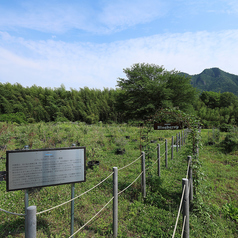RECLO VILLAGE レクロ ビレッジの特集写真