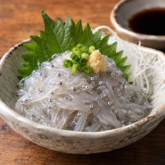 生シラス