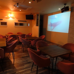 Miani ミアーニ特集写真1